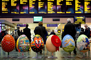 Eggs Return to London Eggs Return to London