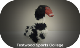Testwood Sports College’s egg